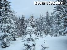 [P01] Peisaj autentic de iarna(vedere din restaurantul complexului) » foto by reddogforever*
 - 
<span class="allrVoted glyphicon glyphicon-heart hidden" id="av29876"></span>
<a class="m-l-10 hidden" id="sv29876" onclick="voting_Foto_DelVot(,29876,1875)" role="button">șterge vot <span class="glyphicon glyphicon-remove"></span></a>
<a id="v929876" class=" c-red"  onclick="voting_Foto_SetVot(29876)" role="button"><span class="glyphicon glyphicon-heart-empty"></span> <b>LIKE</b> = Votează poza</a> <img class="hidden"  id="f29876W9" src="/imagini/loader.gif" border="0" /><span class="AjErrMes hidden" id="e29876ErM"></span>