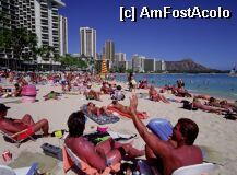 [P05] Waikiki » foto by Cristian_h
 - 
<span class="allrVoted glyphicon glyphicon-heart hidden" id="av6430"></span>
<a class="m-l-10 hidden" id="sv6430" onclick="voting_Foto_DelVot(,6430,2080)" role="button">șterge vot <span class="glyphicon glyphicon-remove"></span></a>
<a id="v96430" class=" c-red"  onclick="voting_Foto_SetVot(6430)" role="button"><span class="glyphicon glyphicon-heart-empty"></span> <b>LIKE</b> = Votează poza</a> <img class="hidden"  id="f6430W9" src="/imagini/loader.gif" border="0" /><span class="AjErrMes hidden" id="e6430ErM"></span>