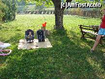 [P01]  -- <small>// FĂRĂ DESCRIERE</small> » foto by dragos_petrescu
 - 
<span class="allrVoted glyphicon glyphicon-heart hidden" id="av266911"></span>
<a class="m-l-10 hidden" id="sv266911" onclick="voting_Foto_DelVot(,266911,2367)" role="button">șterge vot <span class="glyphicon glyphicon-remove"></span></a>
<a id="v9266911" class=" c-red"  onclick="voting_Foto_SetVot(266911)" role="button"><span class="glyphicon glyphicon-heart-empty"></span> <b>LIKE</b> = Votează poza</a> <img class="hidden"  id="f266911W9" src="/imagini/loader.gif" border="0" /><span class="AjErrMes hidden" id="e266911ErM"></span>