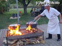 [P02]  -- <small>// FĂRĂ DESCRIERE</small> » foto by dragos_petrescu
 - 
<span class="allrVoted glyphicon glyphicon-heart hidden" id="av266912"></span>
<a class="m-l-10 hidden" id="sv266912" onclick="voting_Foto_DelVot(,266912,2367)" role="button">șterge vot <span class="glyphicon glyphicon-remove"></span></a>
<a id="v9266912" class=" c-red"  onclick="voting_Foto_SetVot(266912)" role="button"><span class="glyphicon glyphicon-heart-empty"></span> <b>LIKE</b> = Votează poza</a> <img class="hidden"  id="f266912W9" src="/imagini/loader.gif" border="0" /><span class="AjErrMes hidden" id="e266912ErM"></span>