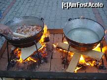 [P03]  -- <small>// FĂRĂ DESCRIERE</small> » foto by dragos_petrescu
 - 
<span class="allrVoted glyphicon glyphicon-heart hidden" id="av266914"></span>
<a class="m-l-10 hidden" id="sv266914" onclick="voting_Foto_DelVot(,266914,2367)" role="button">șterge vot <span class="glyphicon glyphicon-remove"></span></a>
<a id="v9266914" class=" c-red"  onclick="voting_Foto_SetVot(266914)" role="button"><span class="glyphicon glyphicon-heart-empty"></span> <b>LIKE</b> = Votează poza</a> <img class="hidden"  id="f266914W9" src="/imagini/loader.gif" border="0" /><span class="AjErrMes hidden" id="e266914ErM"></span>