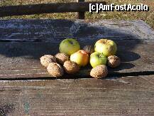 [P08] Mere si nuci culese din gradina » foto by raluca1301
 - 
<span class="allrVoted glyphicon glyphicon-heart hidden" id="av274845"></span>
<a class="m-l-10 hidden" id="sv274845" onclick="voting_Foto_DelVot(,274845,2367)" role="button">șterge vot <span class="glyphicon glyphicon-remove"></span></a>
<a id="v9274845" class=" c-red"  onclick="voting_Foto_SetVot(274845)" role="button"><span class="glyphicon glyphicon-heart-empty"></span> <b>LIKE</b> = Votează poza</a> <img class="hidden"  id="f274845W9" src="/imagini/loader.gif" border="0" /><span class="AjErrMes hidden" id="e274845ErM"></span>