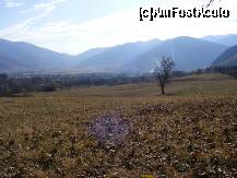 [P06]  -- <small>// FĂRĂ DESCRIERE</small> » foto by lary75
 - 
<span class="allrVoted glyphicon glyphicon-heart hidden" id="av275806"></span>
<a class="m-l-10 hidden" id="sv275806" onclick="voting_Foto_DelVot(,275806,2367)" role="button">șterge vot <span class="glyphicon glyphicon-remove"></span></a>
<a id="v9275806" class=" c-red"  onclick="voting_Foto_SetVot(275806)" role="button"><span class="glyphicon glyphicon-heart-empty"></span> <b>LIKE</b> = Votează poza</a> <img class="hidden"  id="f275806W9" src="/imagini/loader.gif" border="0" /><span class="AjErrMes hidden" id="e275806ErM"></span>