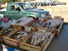 [P1x] piata traditionala care are loc in fiecare vineri in Nikiti » foto by Andc
 - 
<span class="allrVoted glyphicon glyphicon-heart hidden" id="av33949"></span>
<a class="m-l-10 hidden" id="sv33949" onclick="voting_Foto_DelVot(,33949,2750)" role="button">șterge vot <span class="glyphicon glyphicon-remove"></span></a>
<a id="v933949" class=" c-red"  onclick="voting_Foto_SetVot(33949)" role="button"><span class="glyphicon glyphicon-heart-empty"></span> <b>LIKE</b> = Votează poza</a> <img class="hidden"  id="f33949W9" src="/imagini/loader.gif" border="0" /><span class="AjErrMes hidden" id="e33949ErM"></span>