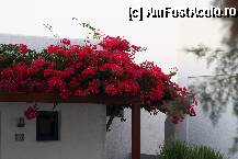 [P03] intrare in bungalow » foto by frumusata
 - 
<span class="allrVoted glyphicon glyphicon-heart hidden" id="av13326"></span>
<a class="m-l-10 hidden" id="sv13326" onclick="voting_Foto_DelVot(,13326,2964)" role="button">șterge vot <span class="glyphicon glyphicon-remove"></span></a>
<a id="v913326" class=" c-red"  onclick="voting_Foto_SetVot(13326)" role="button"><span class="glyphicon glyphicon-heart-empty"></span> <b>LIKE</b> = Votează poza</a> <img class="hidden"  id="f13326W9" src="/imagini/loader.gif" border="0" /><span class="AjErrMes hidden" id="e13326ErM"></span>