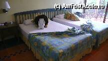 [P08] camera noastra dupa ce am lasat ceva cadouri la fata care facea curatenie in camera » foto by lunazblu
 - 
<span class="allrVoted glyphicon glyphicon-heart hidden" id="av13631"></span>
<a class="m-l-10 hidden" id="sv13631" onclick="voting_Foto_DelVot(,13631,3067)" role="button">șterge vot <span class="glyphicon glyphicon-remove"></span></a>
<a id="v913631" class=" c-red"  onclick="voting_Foto_SetVot(13631)" role="button"><span class="glyphicon glyphicon-heart-empty"></span> <b>LIKE</b> = Votează poza</a> <img class="hidden"  id="f13631W9" src="/imagini/loader.gif" border="0" /><span class="AjErrMes hidden" id="e13631ErM"></span>