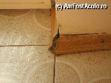 [P11] conditii de 3 stele » foto by sabausorin
 - 
<span class="allrVoted glyphicon glyphicon-heart hidden" id="av14637"></span>
<a class="m-l-10 hidden" id="sv14637" onclick="voting_Foto_DelVot(,14637,3138)" role="button">șterge vot <span class="glyphicon glyphicon-remove"></span></a>
<a id="v914637" class=" c-red"  onclick="voting_Foto_SetVot(14637)" role="button"><span class="glyphicon glyphicon-heart-empty"></span> <b>LIKE</b> = Votează poza</a> <img class="hidden"  id="f14637W9" src="/imagini/loader.gif" border="0" /><span class="AjErrMes hidden" id="e14637ErM"></span>