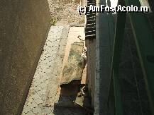 [P09] vedere de pe terasa » foto by sabausorin
 - 
<span class="allrVoted glyphicon glyphicon-heart hidden" id="av14635"></span>
<a class="m-l-10 hidden" id="sv14635" onclick="voting_Foto_DelVot(,14635,3138)" role="button">șterge vot <span class="glyphicon glyphicon-remove"></span></a>
<a id="v914635" class=" c-red"  onclick="voting_Foto_SetVot(14635)" role="button"><span class="glyphicon glyphicon-heart-empty"></span> <b>LIKE</b> = Votează poza</a> <img class="hidden"  id="f14635W9" src="/imagini/loader.gif" border="0" /><span class="AjErrMes hidden" id="e14635ErM"></span>