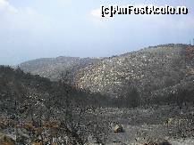 [P19] Urmele incendiului pe dealurile de langa Porto Vromi - vestul insulei » foto by camelia
 - 
<span class="allrVoted glyphicon glyphicon-heart hidden" id="av16907"></span>
<a class="m-l-10 hidden" id="sv16907" onclick="voting_Foto_DelVot(,16907,3297)" role="button">șterge vot <span class="glyphicon glyphicon-remove"></span></a>
<a id="v916907" class=" c-red"  onclick="voting_Foto_SetVot(16907)" role="button"><span class="glyphicon glyphicon-heart-empty"></span> <b>LIKE</b> = Votează poza</a> <img class="hidden"  id="f16907W9" src="/imagini/loader.gif" border="0" /><span class="AjErrMes hidden" id="e16907ErM"></span>