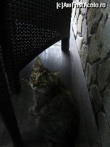 [P08]  -- <small>// FĂRĂ DESCRIERE</small> » foto by greeneyes
 - 
<span class="allrVoted glyphicon glyphicon-heart hidden" id="av146289"></span>
<a class="m-l-10 hidden" id="sv146289" onclick="voting_Foto_DelVot(,146289,3330)" role="button">șterge vot <span class="glyphicon glyphicon-remove"></span></a>
<a id="v9146289" class=" c-red"  onclick="voting_Foto_SetVot(146289)" role="button"><span class="glyphicon glyphicon-heart-empty"></span> <b>LIKE</b> = Votează poza</a> <img class="hidden"  id="f146289W9" src="/imagini/loader.gif" border="0" /><span class="AjErrMes hidden" id="e146289ErM"></span>