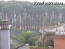 [P02] Padurea de pini de langa hotel » foto by pepsi70ro
 - 
<span class="allrVoted glyphicon glyphicon-heart hidden" id="av22681"></span>
<a class="m-l-10 hidden" id="sv22681" onclick="voting_Foto_DelVot(,22681,3611)" role="button">șterge vot <span class="glyphicon glyphicon-remove"></span></a>
<a id="v922681" class=" c-red"  onclick="voting_Foto_SetVot(22681)" role="button"><span class="glyphicon glyphicon-heart-empty"></span> <b>LIKE</b> = Votează poza</a> <img class="hidden"  id="f22681W9" src="/imagini/loader.gif" border="0" /><span class="AjErrMes hidden" id="e22681ErM"></span>