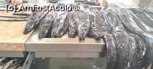 [P16] Espada (pește-sabie) la piața de pește din Funchal, Madeira » foto by irinad
 - 
<span class="allrVoted glyphicon glyphicon-heart hidden" id="av1506073"></span>
<a class="m-l-10 hidden" id="sv1506073" onclick="voting_Foto_DelVot(,1506073,3733)" role="button">șterge vot <span class="glyphicon glyphicon-remove"></span></a>
<a id="v91506073" class=" c-red"  onclick="voting_Foto_SetVot(1506073)" role="button"><span class="glyphicon glyphicon-heart-empty"></span> <b>LIKE</b> = Votează poza</a> <img class="hidden"  id="f1506073W9" src="/imagini/loader.gif" border="0" /><span class="AjErrMes hidden" id="e1506073ErM"></span>