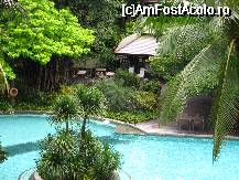 [P05] Barul de langa piscina » foto by lizuk
 - 
<span class="allrVoted glyphicon glyphicon-heart hidden" id="av25026"></span>
<a class="m-l-10 hidden" id="sv25026" onclick="voting_Foto_DelVot(,25026,3757)" role="button">șterge vot <span class="glyphicon glyphicon-remove"></span></a>
<a id="v925026" class=" c-red"  onclick="voting_Foto_SetVot(25026)" role="button"><span class="glyphicon glyphicon-heart-empty"></span> <b>LIKE</b> = Votează poza</a> <img class="hidden"  id="f25026W9" src="/imagini/loader.gif" border="0" /><span class="AjErrMes hidden" id="e25026ErM"></span>