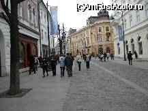 [P13] imagine din orasul Sibiu » foto by ioana22
 - 
<span class="allrVoted glyphicon glyphicon-heart hidden" id="av36529"></span>
<a class="m-l-10 hidden" id="sv36529" onclick="voting_Foto_DelVot(,36529,4300)" role="button">șterge vot <span class="glyphicon glyphicon-remove"></span></a>
<a id="v936529" class=" c-red"  onclick="voting_Foto_SetVot(36529)" role="button"><span class="glyphicon glyphicon-heart-empty"></span> <b>LIKE</b> = Votează poza</a> <img class="hidden"  id="f36529W9" src="/imagini/loader.gif" border="0" /><span class="AjErrMes hidden" id="e36529ErM"></span>