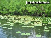 [P04] Skadar lake » foto by monysh
 - 
<span class="allrVoted glyphicon glyphicon-heart hidden" id="av96060"></span>
<a class="m-l-10 hidden" id="sv96060" onclick="voting_Foto_DelVot(,96060,608)" role="button">șterge vot <span class="glyphicon glyphicon-remove"></span></a>
<a id="v996060" class=" c-red"  onclick="voting_Foto_SetVot(96060)" role="button"><span class="glyphicon glyphicon-heart-empty"></span> <b>LIKE</b> = Votează poza</a> <img class="hidden"  id="f96060W9" src="/imagini/loader.gif" border="0" /><span class="AjErrMes hidden" id="e96060ErM"></span>