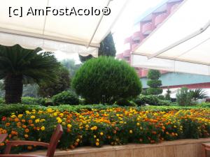 [P34] Delphin Deluxe Resort Alanya - flori la intrarea în hotel » foto by nicole33
 - 
<span class="allrVoted glyphicon glyphicon-heart hidden" id="av820400"></span>
<a class="m-l-10 hidden" id="sv820400" onclick="voting_Foto_DelVot(,820400,1)" role="button">șterge vot <span class="glyphicon glyphicon-remove"></span></a>
<a id="v9820400" class=" c-red"  onclick="voting_Foto_SetVot(820400)" role="button"><span class="glyphicon glyphicon-heart-empty"></span> <b>LIKE</b> = Votează poza</a> <img class="hidden"  id="f820400W9" src="/imagini/loader.gif" border="0" /><span class="AjErrMes hidden" id="e820400ErM"></span>