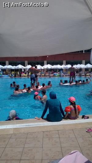 [P54] Jocuri la piscina » foto by calincheita
 - 
<span class="allrVoted glyphicon glyphicon-heart hidden" id="av766977"></span>
<a class="m-l-10 hidden" id="sv766977" onclick="voting_Foto_DelVot(,766977,1)" role="button">șterge vot <span class="glyphicon glyphicon-remove"></span></a>
<a id="v9766977" class=" c-red"  onclick="voting_Foto_SetVot(766977)" role="button"><span class="glyphicon glyphicon-heart-empty"></span> <b>LIKE</b> = Votează poza</a> <img class="hidden"  id="f766977W9" src="/imagini/loader.gif" border="0" /><span class="AjErrMes hidden" id="e766977ErM"></span>