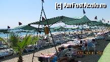 [P11] o parte din plaja » foto by celeste
 - 
<span class="allrVoted glyphicon glyphicon-heart hidden" id="av239363"></span>
<a class="m-l-10 hidden" id="sv239363" onclick="voting_Foto_DelVot(,239363,1)" role="button">șterge vot <span class="glyphicon glyphicon-remove"></span></a>
<a id="v9239363" class=" c-red"  onclick="voting_Foto_SetVot(239363)" role="button"><span class="glyphicon glyphicon-heart-empty"></span> <b>LIKE</b> = Votează poza</a> <img class="hidden"  id="f239363W9" src="/imagini/loader.gif" border="0" /><span class="AjErrMes hidden" id="e239363ErM"></span>