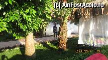 [P47] in fiecare seara se dadea cu solutii pentru insecte » foto by celeste
 - 
<span class="allrVoted glyphicon glyphicon-heart hidden" id="av239453"></span>
<a class="m-l-10 hidden" id="sv239453" onclick="voting_Foto_DelVot(,239453,1)" role="button">șterge vot <span class="glyphicon glyphicon-remove"></span></a>
<a id="v9239453" class=" c-red"  onclick="voting_Foto_SetVot(239453)" role="button"><span class="glyphicon glyphicon-heart-empty"></span> <b>LIKE</b> = Votează poza</a> <img class="hidden"  id="f239453W9" src="/imagini/loader.gif" border="0" /><span class="AjErrMes hidden" id="e239453ErM"></span>