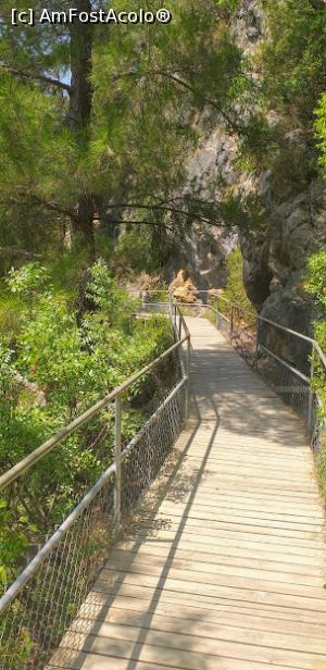 [P15] Drumul catre Magarasi - din excursie. » foto by VasiuM
 - 
<span class="allrVoted glyphicon glyphicon-heart hidden" id="av1262855"></span>
<a class="m-l-10 hidden" id="sv1262855" onclick="voting_Foto_DelVot(,1262855,1)" role="button">șterge vot <span class="glyphicon glyphicon-remove"></span></a>
<a id="v91262855" class=" c-red"  onclick="voting_Foto_SetVot(1262855)" role="button"><span class="glyphicon glyphicon-heart-empty"></span> <b>LIKE</b> = Votează poza</a> <img class="hidden"  id="f1262855W9" src="/imagini/loader.gif" border="0" /><span class="AjErrMes hidden" id="e1262855ErM"></span>