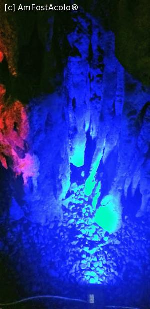 [P18] Fascinant de colorata.. » foto by VasiuM
 - 
<span class="allrVoted glyphicon glyphicon-heart hidden" id="av1262858"></span>
<a class="m-l-10 hidden" id="sv1262858" onclick="voting_Foto_DelVot(,1262858,1)" role="button">șterge vot <span class="glyphicon glyphicon-remove"></span></a>
<a id="v91262858" class=" c-red"  onclick="voting_Foto_SetVot(1262858)" role="button"><span class="glyphicon glyphicon-heart-empty"></span> <b>LIKE</b> = Votează poza</a> <img class="hidden"  id="f1262858W9" src="/imagini/loader.gif" border="0" /><span class="AjErrMes hidden" id="e1262858ErM"></span>