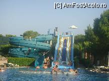 [P01] toppoganele:minunate si rapide » foto by tinika99
 - 
<span class="allrVoted glyphicon glyphicon-heart hidden" id="av106281"></span>
<a class="m-l-10 hidden" id="sv106281" onclick="voting_Foto_DelVot(,106281,10)" role="button">șterge vot <span class="glyphicon glyphicon-remove"></span></a>
<a id="v9106281" class=" c-red"  onclick="voting_Foto_SetVot(106281)" role="button"><span class="glyphicon glyphicon-heart-empty"></span> <b>LIKE</b> = Votează poza</a> <img class="hidden"  id="f106281W9" src="/imagini/loader.gif" border="0" /><span class="AjErrMes hidden" id="e106281ErM"></span>