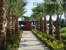 [P07] Cararea minunata care duce spre un bar! » foto by tinika99
 - 
<span class="allrVoted glyphicon glyphicon-heart hidden" id="av106297"></span>
<a class="m-l-10 hidden" id="sv106297" onclick="voting_Foto_DelVot(,106297,10)" role="button">șterge vot <span class="glyphicon glyphicon-remove"></span></a>
<a id="v9106297" class=" c-red"  onclick="voting_Foto_SetVot(106297)" role="button"><span class="glyphicon glyphicon-heart-empty"></span> <b>LIKE</b> = Votează poza</a> <img class="hidden"  id="f106297W9" src="/imagini/loader.gif" border="0" /><span class="AjErrMes hidden" id="e106297ErM"></span>