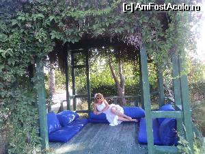 [P16] Elemente decorative de gradina numai bune pentru fotografii.  » foto by amelia
 - 
<span class="allrVoted glyphicon glyphicon-heart hidden" id="av514305"></span>
<a class="m-l-10 hidden" id="sv514305" onclick="voting_Foto_DelVot(,514305,101)" role="button">șterge vot <span class="glyphicon glyphicon-remove"></span></a>
<a id="v9514305" class=" c-red"  onclick="voting_Foto_SetVot(514305)" role="button"><span class="glyphicon glyphicon-heart-empty"></span> <b>LIKE</b> = Votează poza</a> <img class="hidden"  id="f514305W9" src="/imagini/loader.gif" border="0" /><span class="AjErrMes hidden" id="e514305ErM"></span>