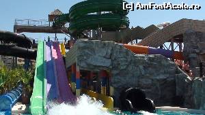 [P07]  -- <small>// FĂRĂ DESCRIERE</small> » foto by mihaela oltean
 - 
<span class="allrVoted glyphicon glyphicon-heart hidden" id="av611276"></span>
<a class="m-l-10 hidden" id="sv611276" onclick="voting_Foto_DelVot(,611276,11)" role="button">șterge vot <span class="glyphicon glyphicon-remove"></span></a>
<a id="v9611276" class=" c-red"  onclick="voting_Foto_SetVot(611276)" role="button"><span class="glyphicon glyphicon-heart-empty"></span> <b>LIKE</b> = Votează poza</a> <img class="hidden"  id="f611276W9" src="/imagini/loader.gif" border="0" /><span class="AjErrMes hidden" id="e611276ErM"></span>