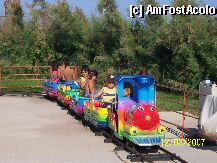 [P65]  -- <small>// FĂRĂ DESCRIERE</small> » foto by calingolea
 - 
<span class="allrVoted glyphicon glyphicon-heart hidden" id="av709"></span>
<a class="m-l-10 hidden" id="sv709" onclick="voting_Foto_DelVot(,709,14)" role="button">șterge vot <span class="glyphicon glyphicon-remove"></span></a>
<a id="v9709" class=" c-red"  onclick="voting_Foto_SetVot(709)" role="button"><span class="glyphicon glyphicon-heart-empty"></span> <b>LIKE</b> = Votează poza</a> <img class="hidden"  id="f709W9" src="/imagini/loader.gif" border="0" /><span class="AjErrMes hidden" id="e709ErM"></span>