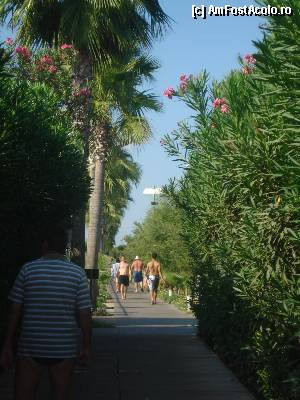 [P13] Aleea care duce de la plaja spre hotel. Foto facuta in dreptul beach barului.  » foto by kiki
 - 
<span class="allrVoted glyphicon glyphicon-heart hidden" id="av376328"></span>
<a class="m-l-10 hidden" id="sv376328" onclick="voting_Foto_DelVot(,376328,14)" role="button">șterge vot <span class="glyphicon glyphicon-remove"></span></a>
<a id="v9376328" class=" c-red"  onclick="voting_Foto_SetVot(376328)" role="button"><span class="glyphicon glyphicon-heart-empty"></span> <b>LIKE</b> = Votează poza</a> <img class="hidden"  id="f376328W9" src="/imagini/loader.gif" border="0" /><span class="AjErrMes hidden" id="e376328ErM"></span>