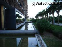 [P10] asa era peste tot pe langa hotel!o frumusete! » foto by nicolcrys
 - 
<span class="allrVoted glyphicon glyphicon-heart hidden" id="av306072"></span>
<a class="m-l-10 hidden" id="sv306072" onclick="voting_Foto_DelVot(,306072,14)" role="button">șterge vot <span class="glyphicon glyphicon-remove"></span></a>
<a id="v9306072" class=" c-red"  onclick="voting_Foto_SetVot(306072)" role="button"><span class="glyphicon glyphicon-heart-empty"></span> <b>LIKE</b> = Votează poza</a> <img class="hidden"  id="f306072W9" src="/imagini/loader.gif" border="0" /><span class="AjErrMes hidden" id="e306072ErM"></span>