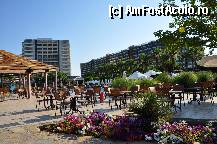 [P10] Bar piscina » foto by cali_na
 - 
<span class="allrVoted glyphicon glyphicon-heart hidden" id="av319186"></span>
<a class="m-l-10 hidden" id="sv319186" onclick="voting_Foto_DelVot(,319186,170)" role="button">șterge vot <span class="glyphicon glyphicon-remove"></span></a>
<a id="v9319186" class=" c-red"  onclick="voting_Foto_SetVot(319186)" role="button"><span class="glyphicon glyphicon-heart-empty"></span> <b>LIKE</b> = Votează poza</a> <img class="hidden"  id="f319186W9" src="/imagini/loader.gif" border="0" /><span class="AjErrMes hidden" id="e319186ErM"></span>