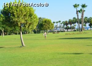 [P06] zona verde intre hotel si plaja, superb, o placere sa o traversezi, un gazon impecabil, tuns regulat, irigat zilnic.  » foto by usalex
 - 
<span class="allrVoted glyphicon glyphicon-heart hidden" id="av896032"></span>
<a class="m-l-10 hidden" id="sv896032" onclick="voting_Foto_DelVot(,896032,170)" role="button">șterge vot <span class="glyphicon glyphicon-remove"></span></a>
<a id="v9896032" class=" c-red"  onclick="voting_Foto_SetVot(896032)" role="button"><span class="glyphicon glyphicon-heart-empty"></span> <b>LIKE</b> = Votează poza</a> <img class="hidden"  id="f896032W9" src="/imagini/loader.gif" border="0" /><span class="AjErrMes hidden" id="e896032ErM"></span>
