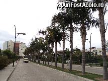 [P29] aleea de acces spre hotel » foto by TORA INGRID
 - 
<span class="allrVoted glyphicon glyphicon-heart hidden" id="av198751"></span>
<a class="m-l-10 hidden" id="sv198751" onclick="voting_Foto_DelVot(,198751,170)" role="button">șterge vot <span class="glyphicon glyphicon-remove"></span></a>
<a id="v9198751" class=" c-red"  onclick="voting_Foto_SetVot(198751)" role="button"><span class="glyphicon glyphicon-heart-empty"></span> <b>LIKE</b> = Votează poza</a> <img class="hidden"  id="f198751W9" src="/imagini/loader.gif" border="0" /><span class="AjErrMes hidden" id="e198751ErM"></span>
