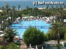 [P07] Piscina principala » foto by mariuca21
 - 
<span class="allrVoted glyphicon glyphicon-heart hidden" id="av221095"></span>
<a class="m-l-10 hidden" id="sv221095" onclick="voting_Foto_DelVot(,221095,171)" role="button">șterge vot <span class="glyphicon glyphicon-remove"></span></a>
<a id="v9221095" class=" c-red"  onclick="voting_Foto_SetVot(221095)" role="button"><span class="glyphicon glyphicon-heart-empty"></span> <b>LIKE</b> = Votează poza</a> <img class="hidden"  id="f221095W9" src="/imagini/loader.gif" border="0" /><span class="AjErrMes hidden" id="e221095ErM"></span>
