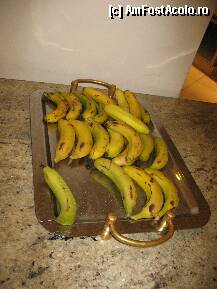 [P08] Bananele erau foarte mici si nu aratau deloc bine » foto by mariuca21
 - 
<span class="allrVoted glyphicon glyphicon-heart hidden" id="av221096"></span>
<a class="m-l-10 hidden" id="sv221096" onclick="voting_Foto_DelVot(,221096,171)" role="button">șterge vot <span class="glyphicon glyphicon-remove"></span></a>
<a id="v9221096" class=" c-red"  onclick="voting_Foto_SetVot(221096)" role="button"><span class="glyphicon glyphicon-heart-empty"></span> <b>LIKE</b> = Votează poza</a> <img class="hidden"  id="f221096W9" src="/imagini/loader.gif" border="0" /><span class="AjErrMes hidden" id="e221096ErM"></span>
