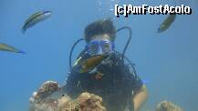 [P80] Scuba diving » foto by CCRRIISSYY
 - 
<span class="allrVoted glyphicon glyphicon-heart hidden" id="av259098"></span>
<a class="m-l-10 hidden" id="sv259098" onclick="voting_Foto_DelVot(,259098,171)" role="button">șterge vot <span class="glyphicon glyphicon-remove"></span></a>
<a id="v9259098" class=" c-red"  onclick="voting_Foto_SetVot(259098)" role="button"><span class="glyphicon glyphicon-heart-empty"></span> <b>LIKE</b> = Votează poza</a> <img class="hidden"  id="f259098W9" src="/imagini/loader.gif" border="0" /><span class="AjErrMes hidden" id="e259098ErM"></span>