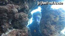 [P81] Scuba diving » foto by CCRRIISSYY
 - 
<span class="allrVoted glyphicon glyphicon-heart hidden" id="av259099"></span>
<a class="m-l-10 hidden" id="sv259099" onclick="voting_Foto_DelVot(,259099,171)" role="button">șterge vot <span class="glyphicon glyphicon-remove"></span></a>
<a id="v9259099" class=" c-red"  onclick="voting_Foto_SetVot(259099)" role="button"><span class="glyphicon glyphicon-heart-empty"></span> <b>LIKE</b> = Votează poza</a> <img class="hidden"  id="f259099W9" src="/imagini/loader.gif" border="0" /><span class="AjErrMes hidden" id="e259099ErM"></span>