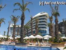 [P01]  -- <small>// FĂRĂ DESCRIERE</small> » foto by josephine
 - 
<span class="allrVoted glyphicon glyphicon-heart hidden" id="av1182"></span>
<a class="m-l-10 hidden" id="sv1182" onclick="voting_Foto_DelVot(,1182,171)" role="button">șterge vot <span class="glyphicon glyphicon-remove"></span></a>
<a id="v91182" class=" c-red"  onclick="voting_Foto_SetVot(1182)" role="button"><span class="glyphicon glyphicon-heart-empty"></span> <b>LIKE</b> = Votează poza</a> <img class="hidden"  id="f1182W9" src="/imagini/loader.gif" border="0" /><span class="AjErrMes hidden" id="e1182ErM"></span>