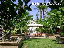 [P03] O bucatica din curtea excelent intretinuta » foto by mmf
 - 
<span class="allrVoted glyphicon glyphicon-heart hidden" id="av15134"></span>
<a class="m-l-10 hidden" id="sv15134" onclick="voting_Foto_DelVot(,15134,171)" role="button">șterge vot <span class="glyphicon glyphicon-remove"></span></a>
<a id="v915134" class=" c-red"  onclick="voting_Foto_SetVot(15134)" role="button"><span class="glyphicon glyphicon-heart-empty"></span> <b>LIKE</b> = Votează poza</a> <img class="hidden"  id="f15134W9" src="/imagini/loader.gif" border="0" /><span class="AjErrMes hidden" id="e15134ErM"></span>