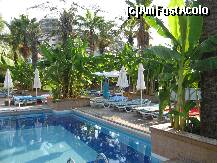 [P06] piscina principala cu mult prea multa vegetatie si sesloange » foto by gioko
 - 
<span class="allrVoted glyphicon glyphicon-heart hidden" id="av254065"></span>
<a class="m-l-10 hidden" id="sv254065" onclick="voting_Foto_DelVot(,254065,171)" role="button">șterge vot <span class="glyphicon glyphicon-remove"></span></a>
<a id="v9254065" class=" c-red"  onclick="voting_Foto_SetVot(254065)" role="button"><span class="glyphicon glyphicon-heart-empty"></span> <b>LIKE</b> = Votează poza</a> <img class="hidden"  id="f254065W9" src="/imagini/loader.gif" border="0" /><span class="AjErrMes hidden" id="e254065ErM"></span>