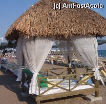 [P22]  -- <small>// FĂRĂ DESCRIERE</small> » foto by jarrivetm
 - 
<span class="allrVoted glyphicon glyphicon-heart hidden" id="av3682"></span>
<a class="m-l-10 hidden" id="sv3682" onclick="voting_Foto_DelVot(,3682,177)" role="button">șterge vot <span class="glyphicon glyphicon-remove"></span></a>
<a id="v93682" class=" c-red"  onclick="voting_Foto_SetVot(3682)" role="button"><span class="glyphicon glyphicon-heart-empty"></span> <b>LIKE</b> = Votează poza</a> <img class="hidden"  id="f3682W9" src="/imagini/loader.gif" border="0" /><span class="AjErrMes hidden" id="e3682ErM"></span>