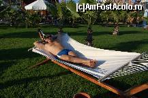 [P14] hamac, liber la orice ora, la umbra unor palmieri pitici » foto by mihailtoma
 - 
<span class="allrVoted glyphicon glyphicon-heart hidden" id="av17506"></span>
<a class="m-l-10 hidden" id="sv17506" onclick="voting_Foto_DelVot(,17506,177)" role="button">șterge vot <span class="glyphicon glyphicon-remove"></span></a>
<a id="v917506" class=" c-red"  onclick="voting_Foto_SetVot(17506)" role="button"><span class="glyphicon glyphicon-heart-empty"></span> <b>LIKE</b> = Votează poza</a> <img class="hidden"  id="f17506W9" src="/imagini/loader.gif" border="0" /><span class="AjErrMes hidden" id="e17506ErM"></span>