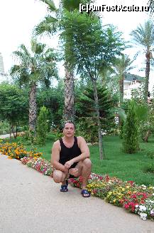 [P08] aleile alea sunt bestiale, picura la fiecare palmier apa in continuu » foto by mihailtoma
 - 
<span class="allrVoted glyphicon glyphicon-heart hidden" id="av17497"></span>
<a class="m-l-10 hidden" id="sv17497" onclick="voting_Foto_DelVot(,17497,177)" role="button">șterge vot <span class="glyphicon glyphicon-remove"></span></a>
<a id="v917497" class=" c-red"  onclick="voting_Foto_SetVot(17497)" role="button"><span class="glyphicon glyphicon-heart-empty"></span> <b>LIKE</b> = Votează poza</a> <img class="hidden"  id="f17497W9" src="/imagini/loader.gif" border="0" /><span class="AjErrMes hidden" id="e17497ErM"></span>