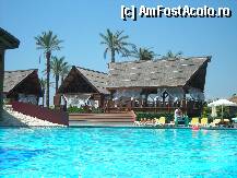 [P17x]  -- <small>// FĂRĂ DESCRIERE</small> » foto by Andox
 - 
<span class="allrVoted glyphicon glyphicon-heart hidden" id="av1632"></span>
<a class="m-l-10 hidden" id="sv1632" onclick="voting_Foto_DelVot(,1632,177)" role="button">șterge vot <span class="glyphicon glyphicon-remove"></span></a>
<a id="v91632" class=" c-red"  onclick="voting_Foto_SetVot(1632)" role="button"><span class="glyphicon glyphicon-heart-empty"></span> <b>LIKE</b> = Votează poza</a> <img class="hidden"  id="f1632W9" src="/imagini/loader.gif" border="0" /><span class="AjErrMes hidden" id="e1632ErM"></span>