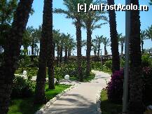 [P19x] Alt drum spre plaja » foto by Andox
 - 
<span class="allrVoted glyphicon glyphicon-heart hidden" id="av1634"></span>
<a class="m-l-10 hidden" id="sv1634" onclick="voting_Foto_DelVot(,1634,177)" role="button">șterge vot <span class="glyphicon glyphicon-remove"></span></a>
<a id="v91634" class=" c-red"  onclick="voting_Foto_SetVot(1634)" role="button"><span class="glyphicon glyphicon-heart-empty"></span> <b>LIKE</b> = Votează poza</a> <img class="hidden"  id="f1634W9" src="/imagini/loader.gif" border="0" /><span class="AjErrMes hidden" id="e1634ErM"></span>