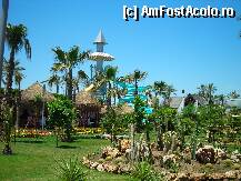 [P2x] gradina si topoganele » foto by Andox
 - 
<span class="allrVoted glyphicon glyphicon-heart hidden" id="av1617"></span>
<a class="m-l-10 hidden" id="sv1617" onclick="voting_Foto_DelVot(,1617,177)" role="button">șterge vot <span class="glyphicon glyphicon-remove"></span></a>
<a id="v91617" class=" c-red"  onclick="voting_Foto_SetVot(1617)" role="button"><span class="glyphicon glyphicon-heart-empty"></span> <b>LIKE</b> = Votează poza</a> <img class="hidden"  id="f1617W9" src="/imagini/loader.gif" border="0" /><span class="AjErrMes hidden" id="e1617ErM"></span>