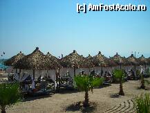 [P21x] 'Casute' pe plaja » foto by Andox
 - 
<span class="allrVoted glyphicon glyphicon-heart hidden" id="av1636"></span>
<a class="m-l-10 hidden" id="sv1636" onclick="voting_Foto_DelVot(,1636,177)" role="button">șterge vot <span class="glyphicon glyphicon-remove"></span></a>
<a id="v91636" class=" c-red"  onclick="voting_Foto_SetVot(1636)" role="button"><span class="glyphicon glyphicon-heart-empty"></span> <b>LIKE</b> = Votează poza</a> <img class="hidden"  id="f1636W9" src="/imagini/loader.gif" border="0" /><span class="AjErrMes hidden" id="e1636ErM"></span>