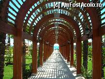 [P6x] Drumul spre plaja » foto by Andox
 - 
<span class="allrVoted glyphicon glyphicon-heart hidden" id="av1621"></span>
<a class="m-l-10 hidden" id="sv1621" onclick="voting_Foto_DelVot(,1621,177)" role="button">șterge vot <span class="glyphicon glyphicon-remove"></span></a>
<a id="v91621" class=" c-red"  onclick="voting_Foto_SetVot(1621)" role="button"><span class="glyphicon glyphicon-heart-empty"></span> <b>LIKE</b> = Votează poza</a> <img class="hidden"  id="f1621W9" src="/imagini/loader.gif" border="0" /><span class="AjErrMes hidden" id="e1621ErM"></span>